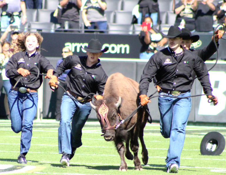 College Football's 20 coolest game day traditions