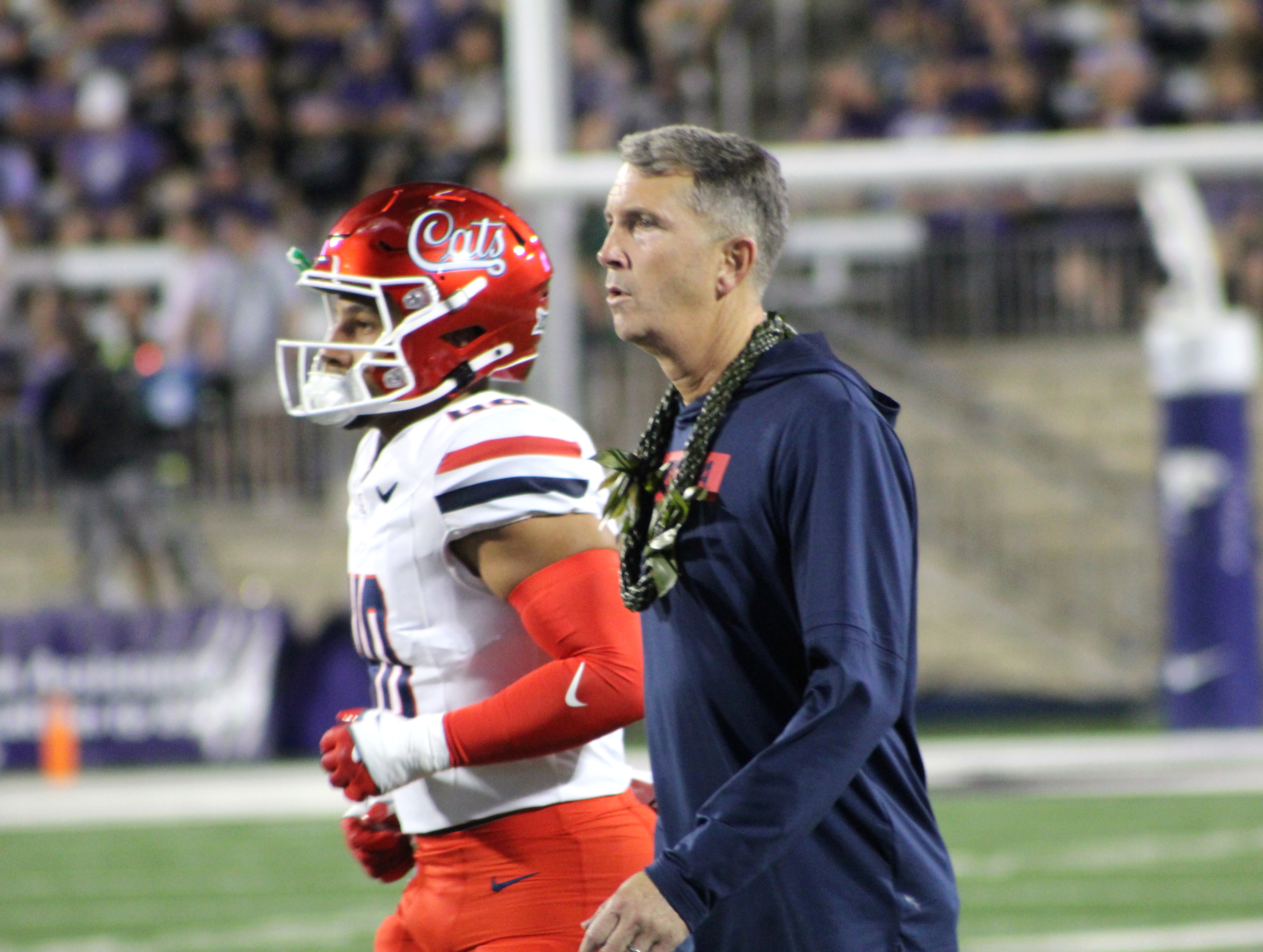 Arizona Wildcats Football